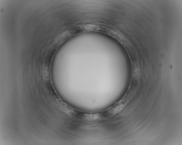 X0000076250469200610191653