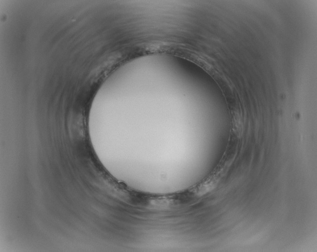 X0000076250470200610191653