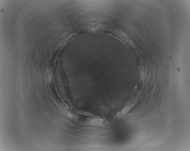 X0000076250471200610191653