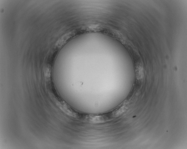 X0000076250472200610191653