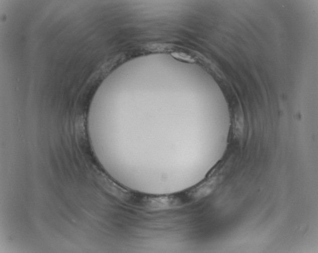 X0000076250473200610191653