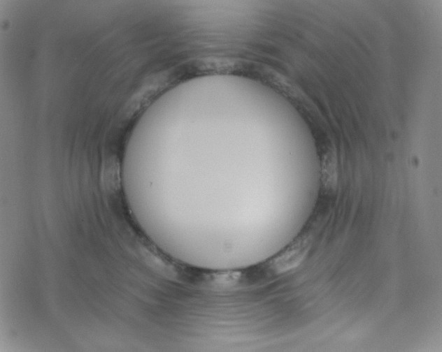 X0000076250474200610191653