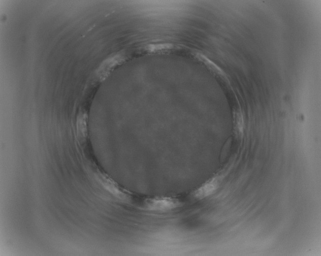 X0000076250475200610191653