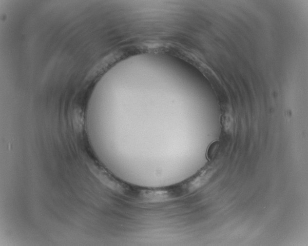 X0000076250476200610191653