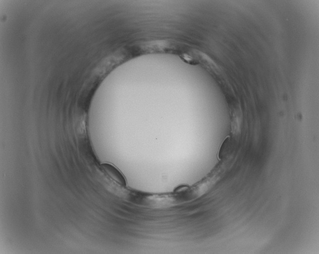 X0000076250477200610191653