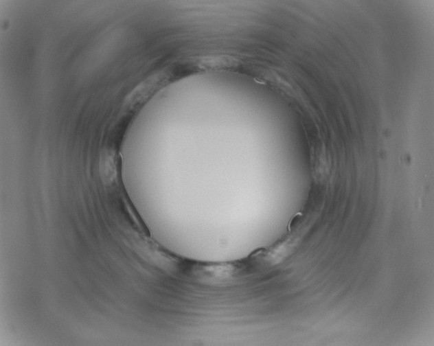 X0000076250478200610191653