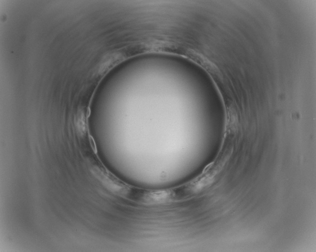 X0000076250479200610191653