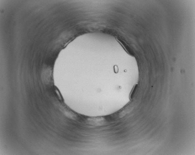 X0000076250480200610191653