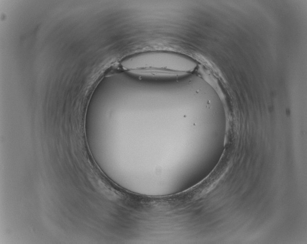 X0000076250481200610191652