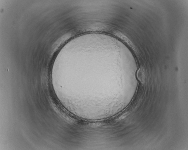 X0000076250482200610191652