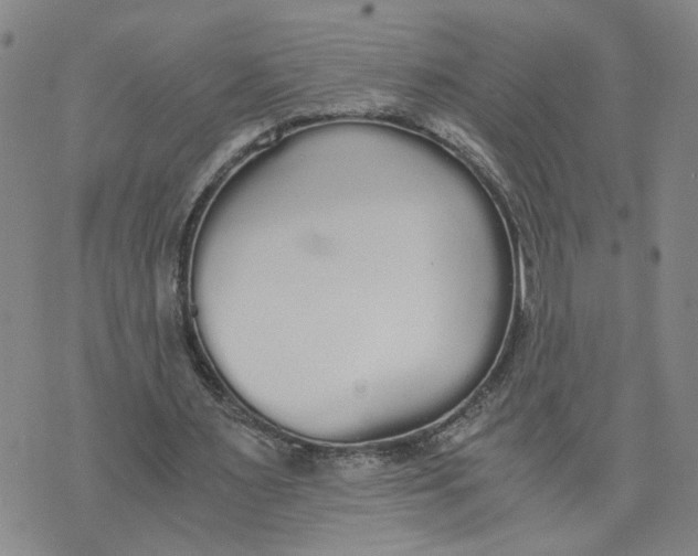 X0000076250483200610191652