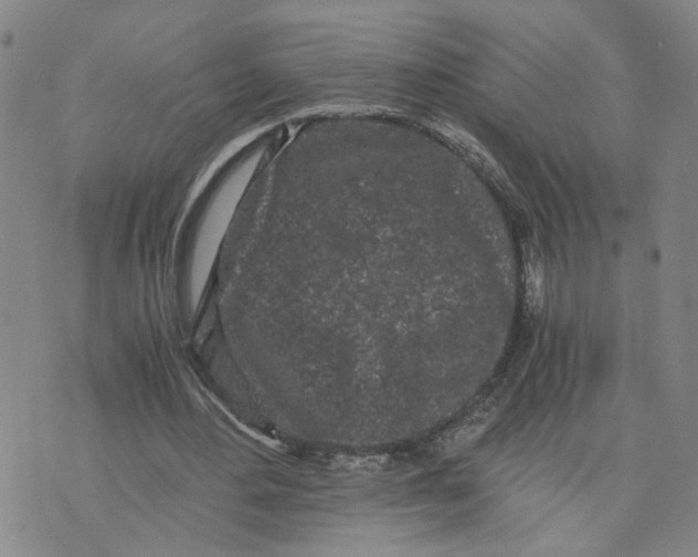 X0000076250484200610191652