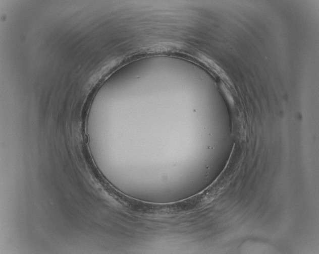 X0000076250485200610191652