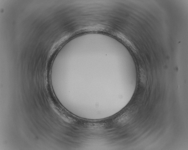 X0000076250486200610191652