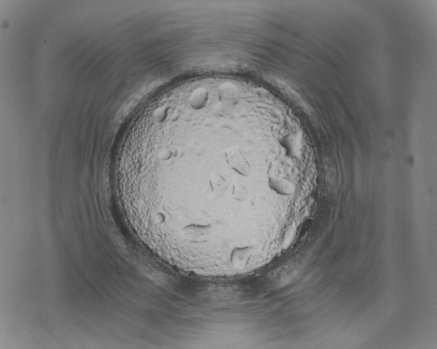 X0000076250487200610191652