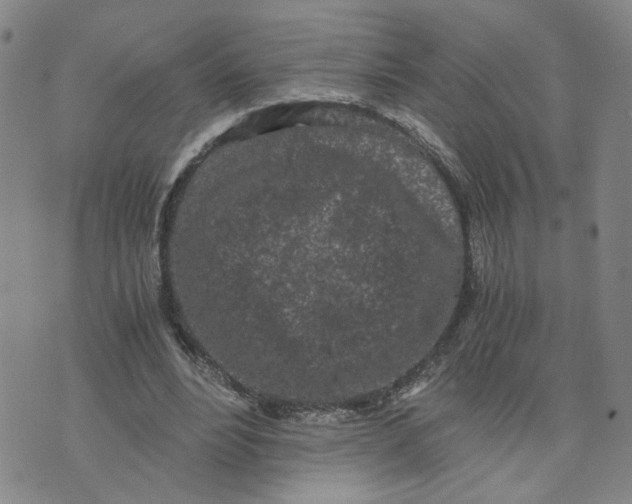 X0000076250488200610191652