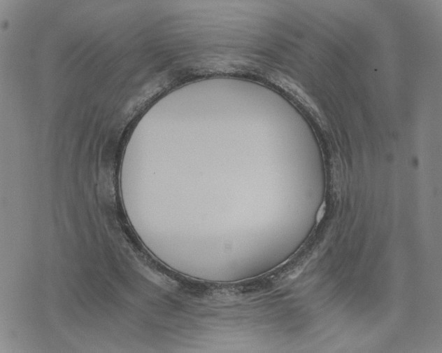 X0000076250489200610191652