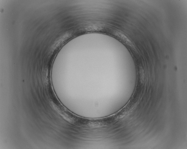 X0000076250490200610191652