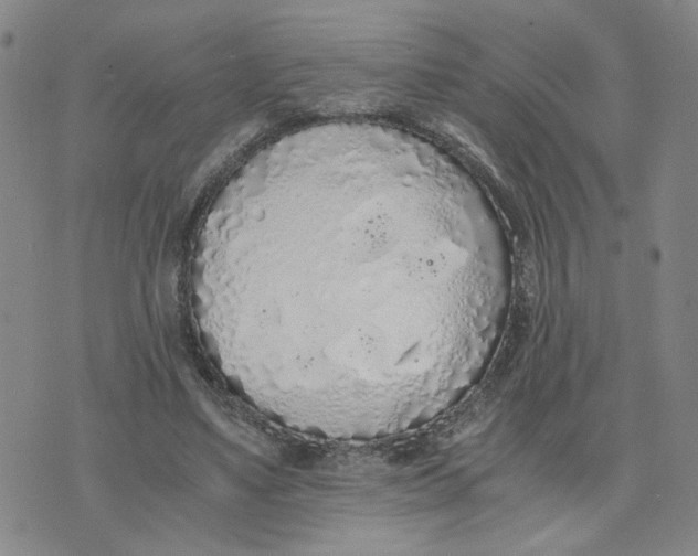 X0000076250491200610191652