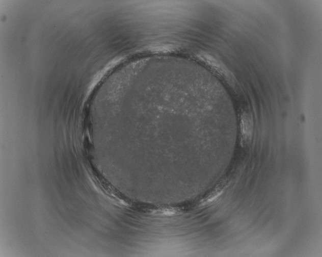 X0000076250492200610191652