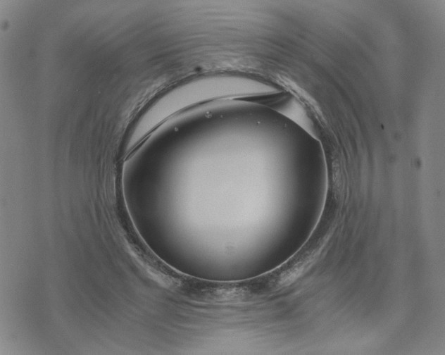 X0000076250493200610191652