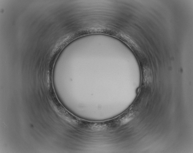 X0000076250494200610191652