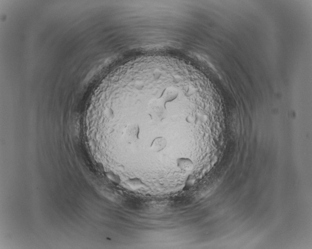 X0000076250495200610191652