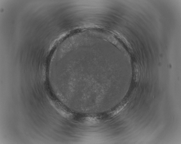 X0000076250496200610191652