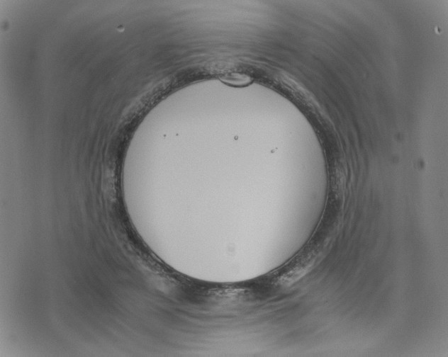 X0000076250497200610191652