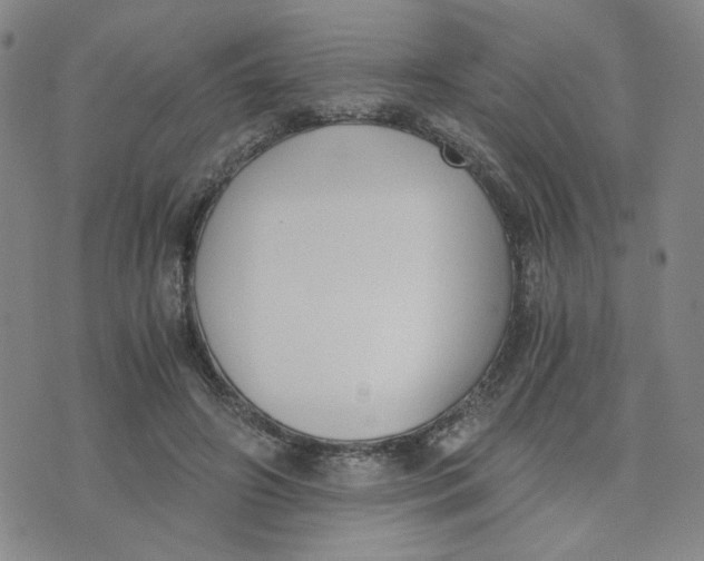 X0000076250498200610191652