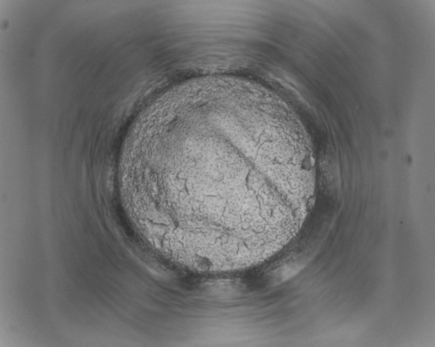 X0000076250499200610191652