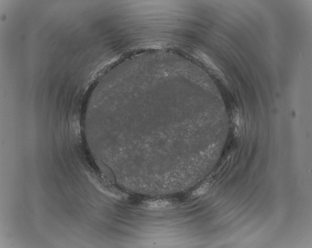 X0000076250500200610191652