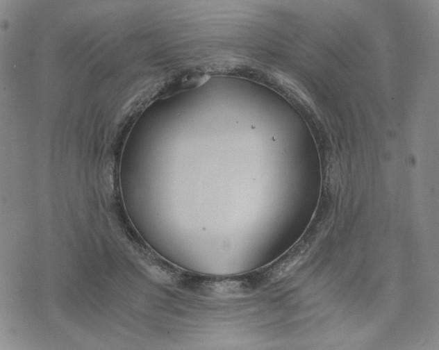 X0000076250501200610191652