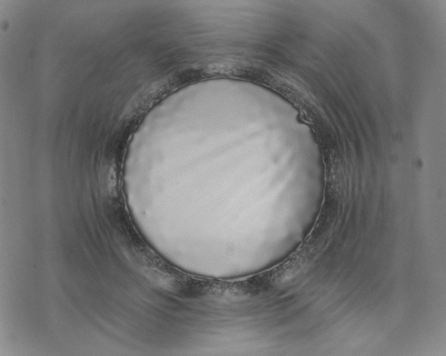 X0000076250502200610191652