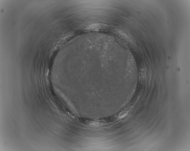 X0000076250504200610191652