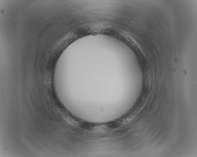 X0000076250505200610191652