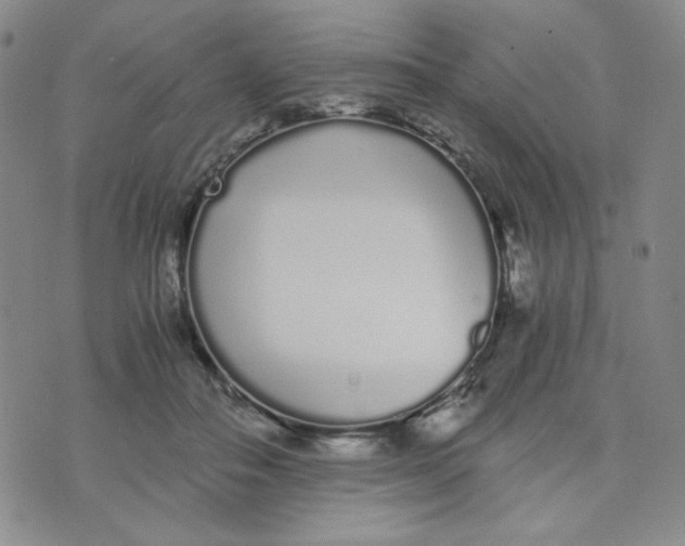 X0000076250506200610191652