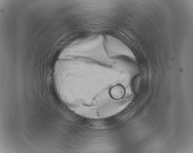 X0000076250507200610191652