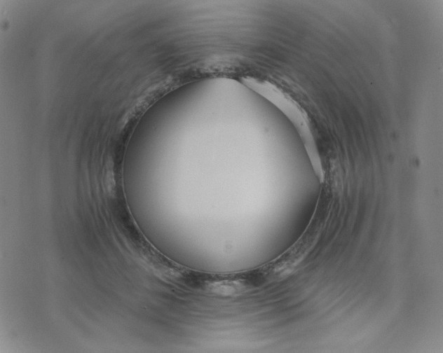 X0000076250508200610191652