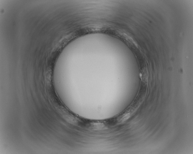 X0000076250509200610191652