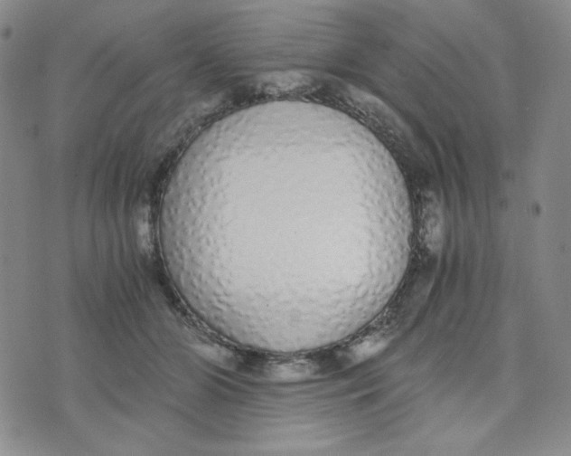 X0000076250510200610191652