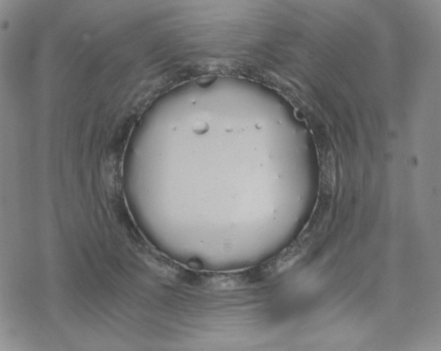 X0000076250511200610191652