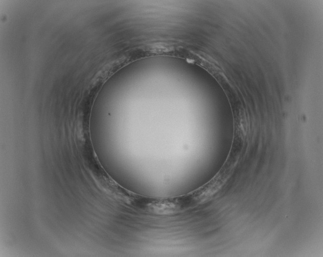 X0000076250512200610191652