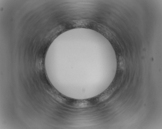 X0000076250514200610191652