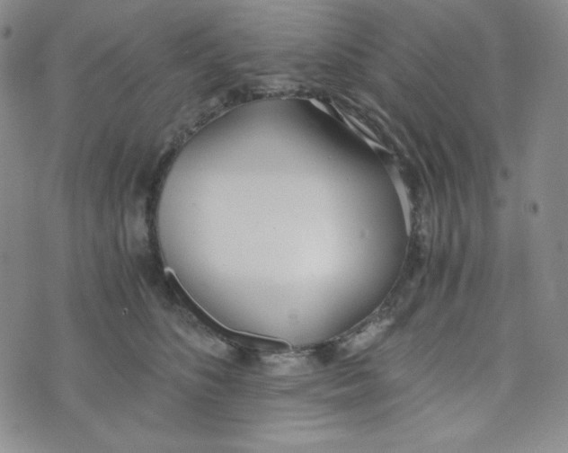 X0000076250516200610191652