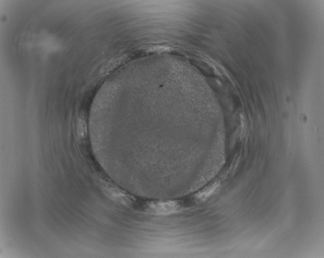 X0000076250517200610191652