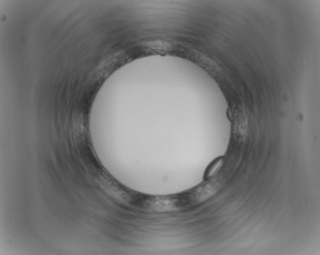 X0000076250518200610191652