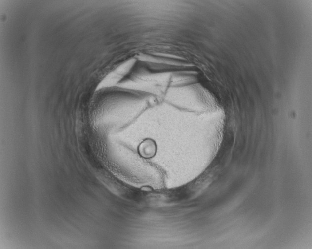 X0000076250519200610191652