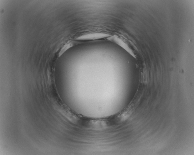 X0000076250520200610191652