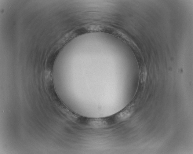 X0000076250521200610191652